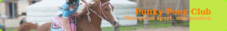 Punky Pony Club